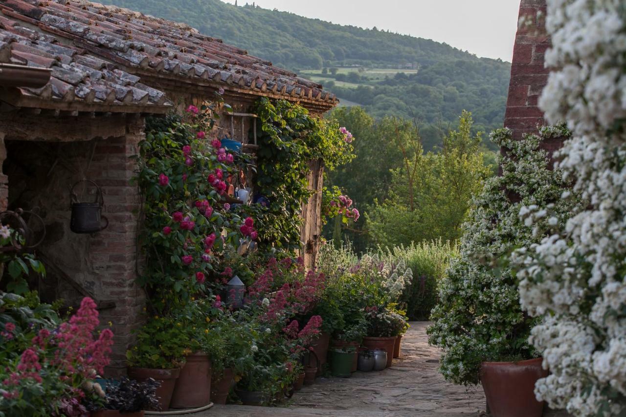 Follonico 4-Suite B&B Torrita di Siena Exterior photo
